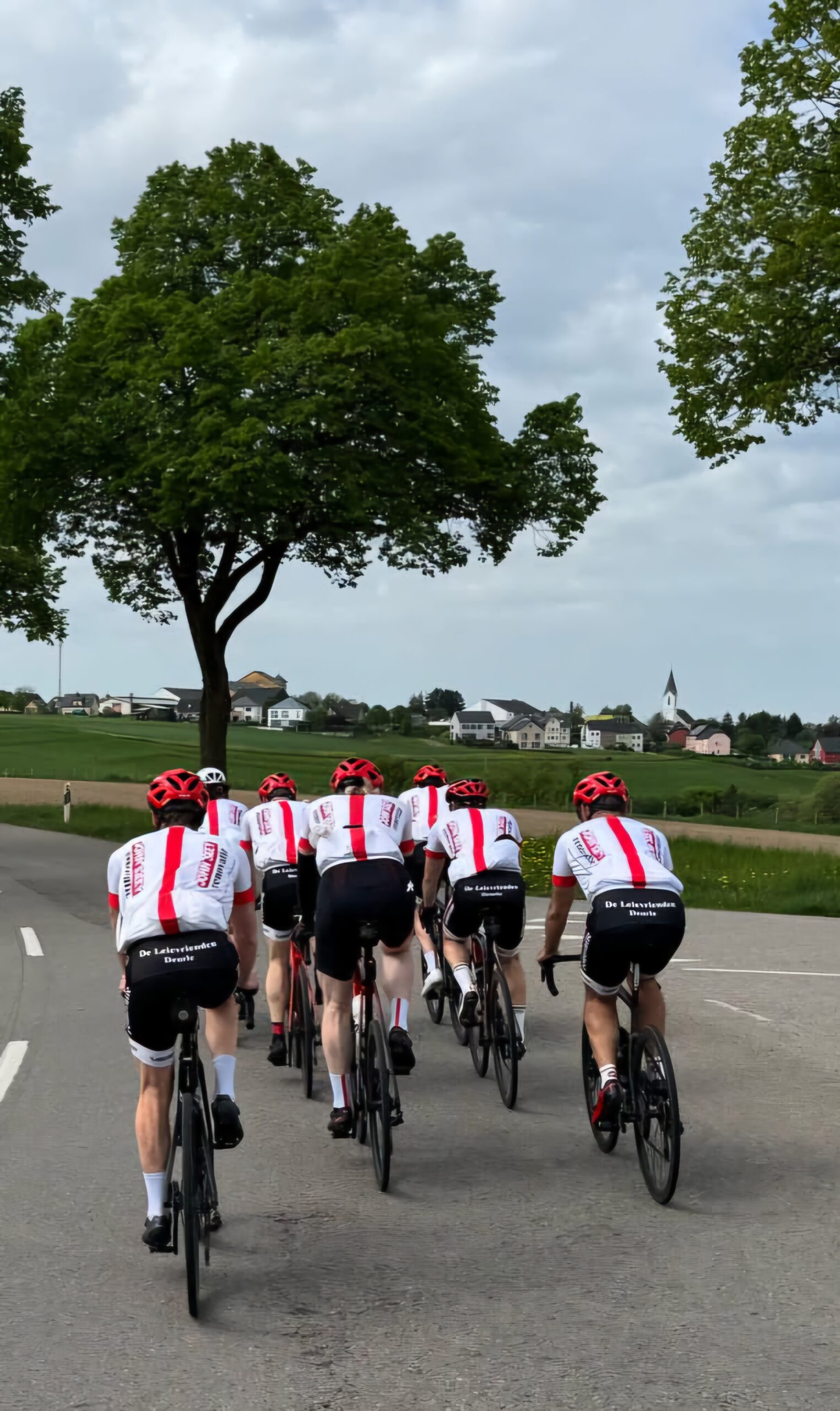 Cyclo’s A, B & C : Groepsrit Bellegem !